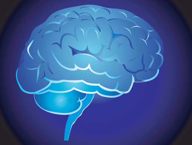 U of H Brain imaging Initiative